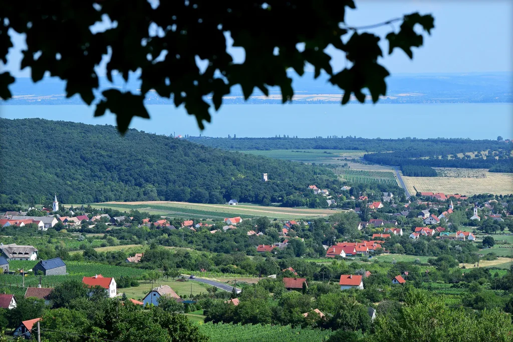 Dörgicse és a Balaton-felvidék jellegzetes dombjainak látványa, ahol minden kanyar után új panoráma nyílik